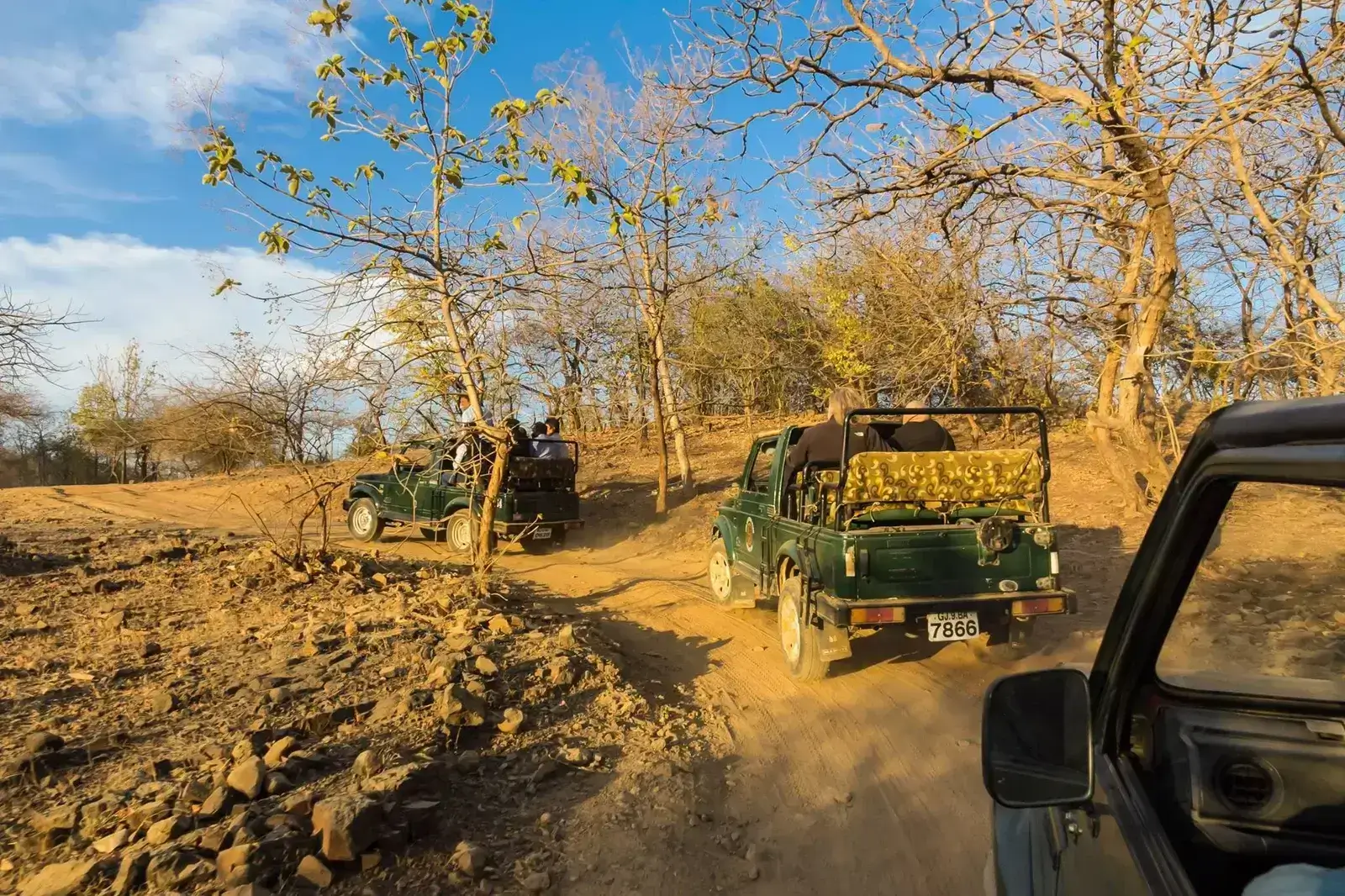 Majestic Gir Gujarat Tour 